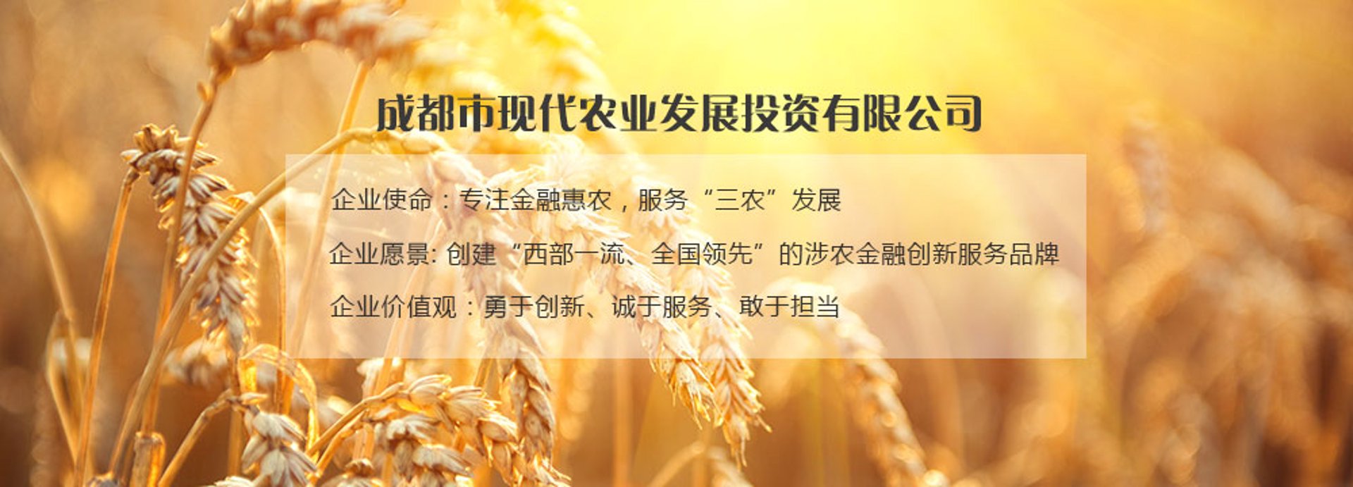 成都投资咨询
